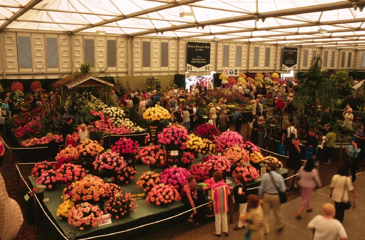 The Chelsea Flower Show